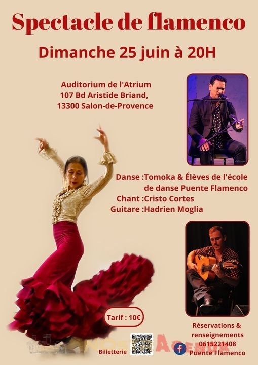 Spectacle de Flamenco Salon de Provence Agenda Nostragenda