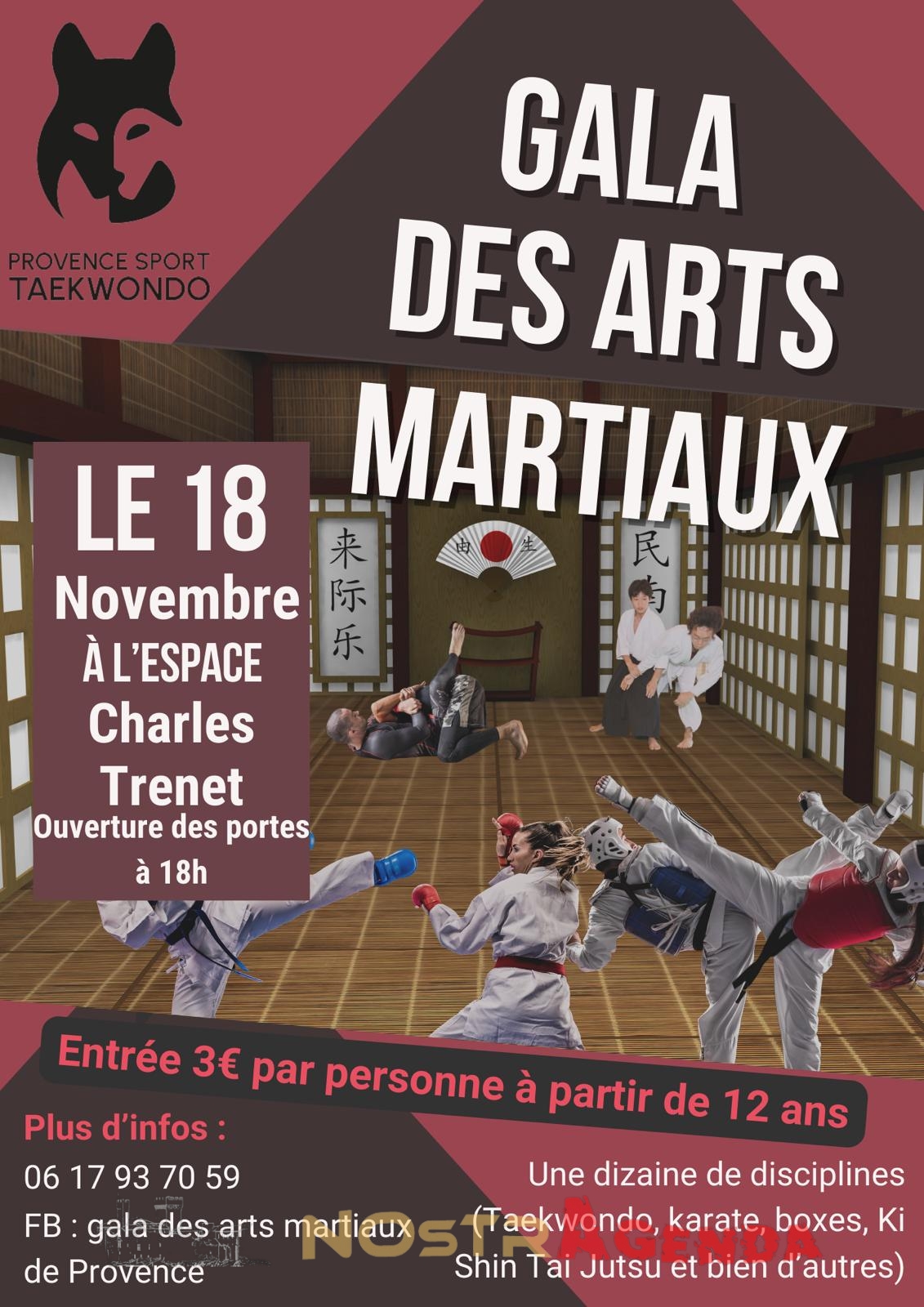 Gala des Arts Martiaux