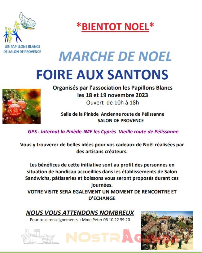 Marché de Noël Foire aux santons Salon de Provence Papillons Blancs