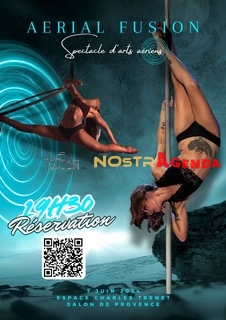 Gala Aerial Fusion Cerceau Aérien, Tissu Aérien et Pole Dance agenda Nostragenda Salon