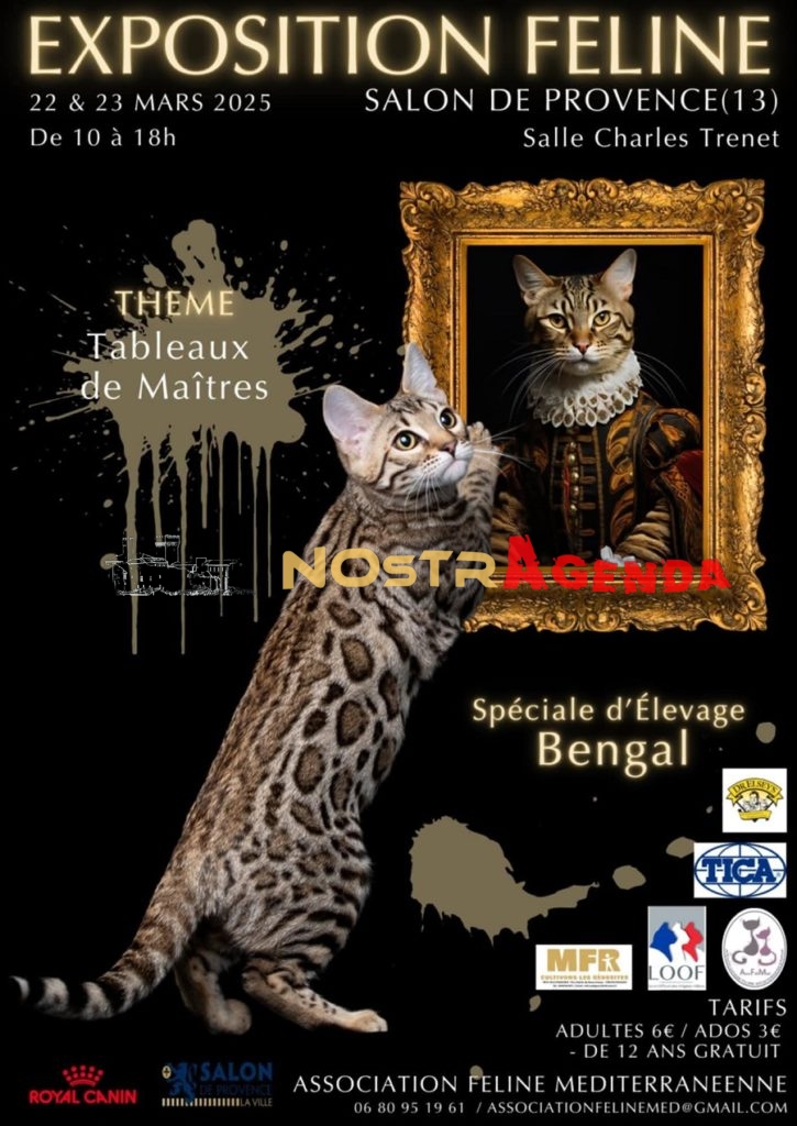 Exposition Féline Salon Nostragenda AFM Association Feline Mediterranéenne mars 2025
