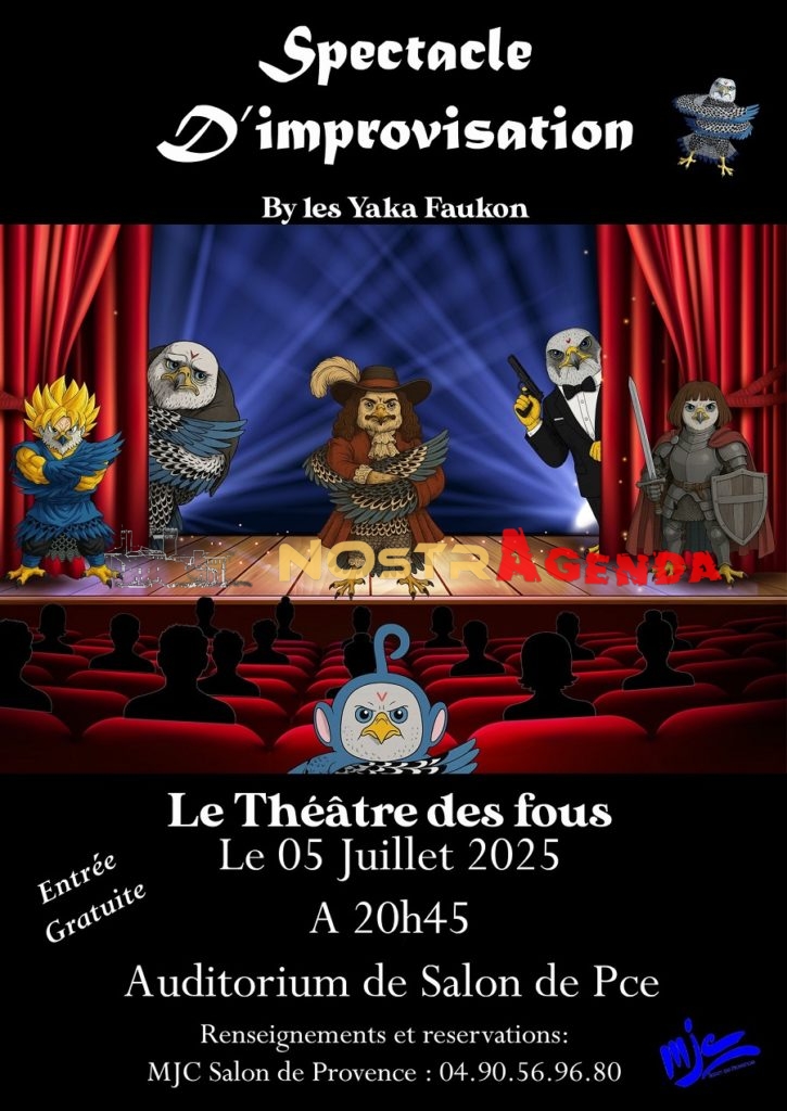 spectacle d'impro les yaka faukon MJC Salon Nostragenda