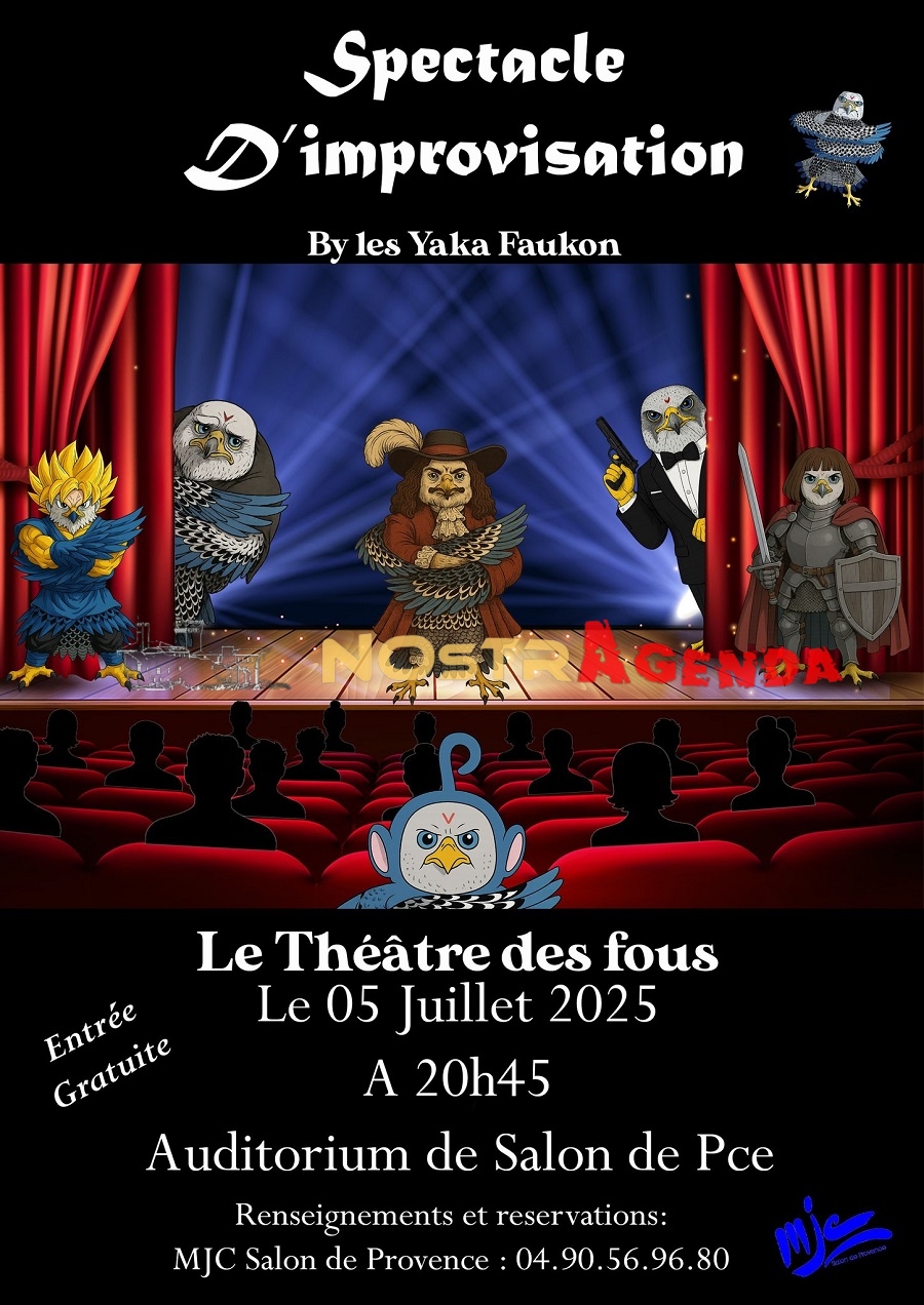 spectacle d'impro les yaka faukon MJC Salon Nostragenda