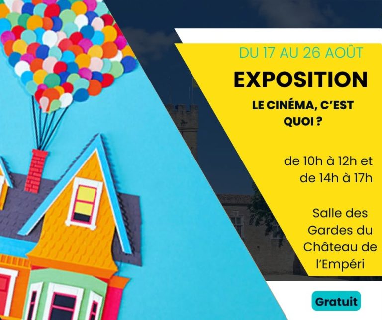 Ciné salon 13